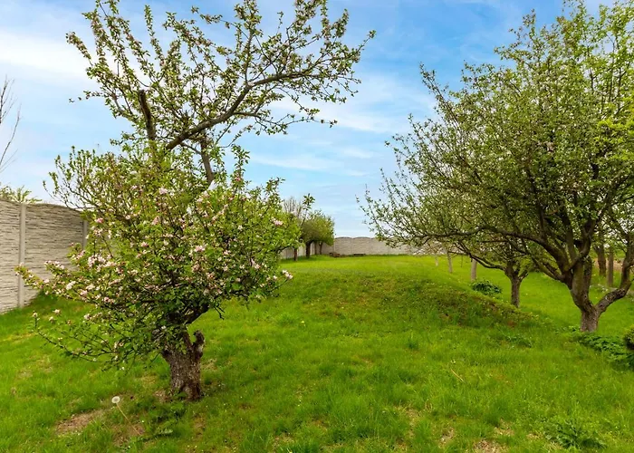 Apartmánový Dům * Vilémovice